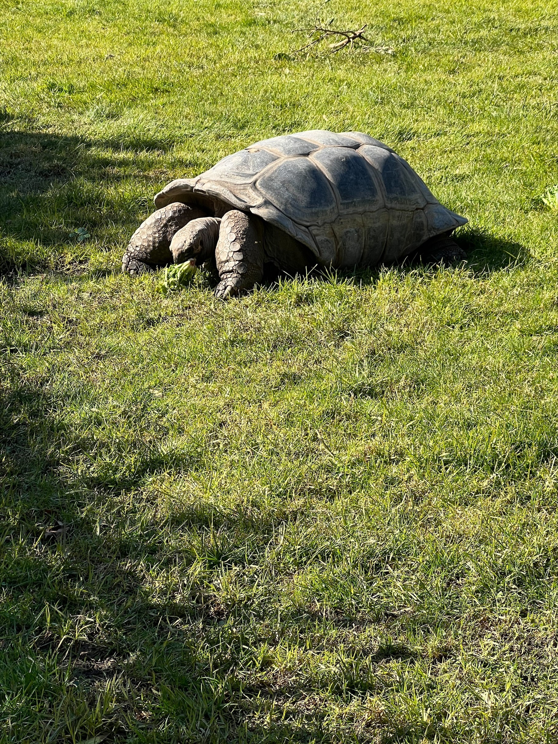 /uploaded_files/media/gallery/1659494484zoo 16.jpg